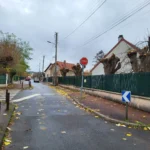 élagage de 4 tilleuls après